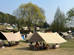 -铁山坪森林公园