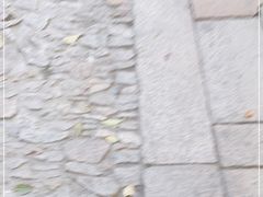-八珍手工水饺·妈妈的爱(传芳巷店)