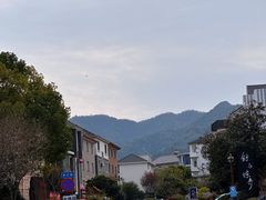 -龙坞茶村