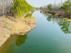 -东郊湿地公园