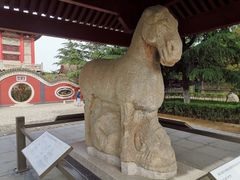 -茂陵博物馆