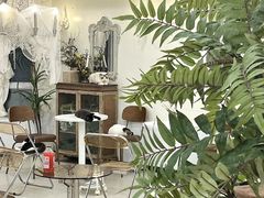 -共舞时光猫咖·狗咖(新街口店)