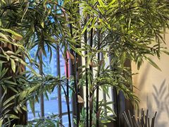 -洞庭土菜馆(天河北总店)