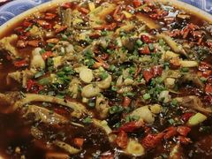 -新概念来凤鱼(璧山店)
