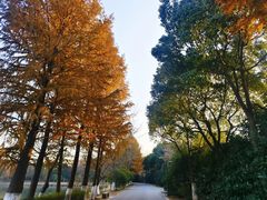 -石湖景区