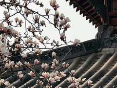 -长春观