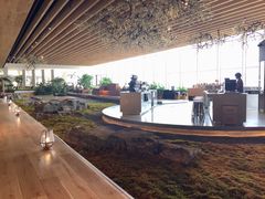 -Seesaw Coffee(朝阳大悦城店)