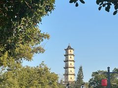 -江心屿景区