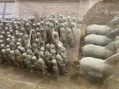 -秦始皇帝陵博物院(兵马俑)