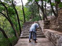 -北京上方山国家森林公园