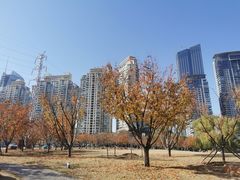 -西北湖绿化广场