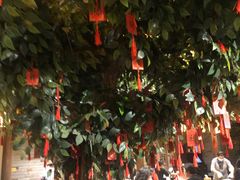 -南京大牌档(三阳广场苏宁店)