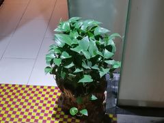 -御亭宫·SPA.按摩足疗头疗养生馆