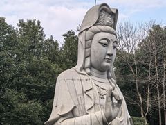-潜山国家森林公园