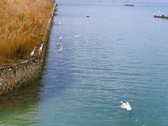 -碧桂园十里银滩