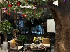 -富侨养生(光大会展店)