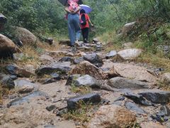 -大岭沟猕猴桃谷风景区
