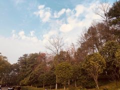 -韶山毛泽东同志故居