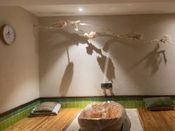 -香秀空间科技抗衰·美容中心