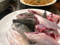 脆肉鲩鱼头-正能量脆肉鲩火锅