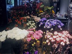 -Flower in(密渡桥店)