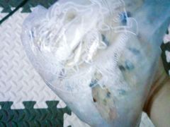 -Juicy Bakery(大学路店)