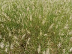 -宁波浙东大竹海景区