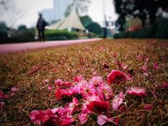 -杭州城北体育公园