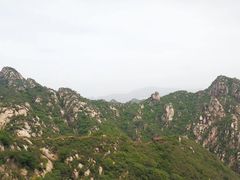 -大岭沟猕猴桃谷风景区