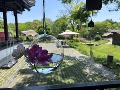 -尚贤河湿地