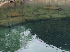 -白云源风景区