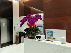 -TSK齿科德申会口腔门诊·联洋诊所