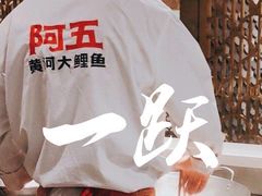 -阿五黄河大鲤鱼(海尚店)