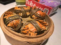 -杨氏青龙虾·羊蝎子(金盛路总店)