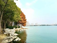 -蠡湖大桥公园
