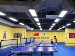 -乐旋乒乓球(深圳南油店)