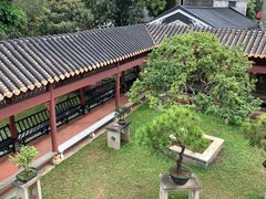 -碧江金楼