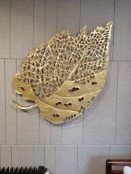 -青青一生美皮肤管理