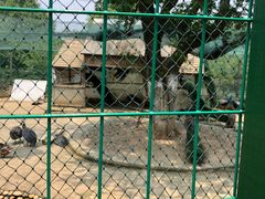 -武汉紫薇都市田园