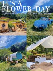 -花漾摄影优选工作室(东莞原创作品店)