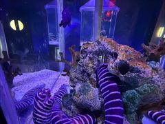 -太平洋海底世界