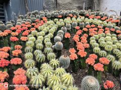 -南山植物园