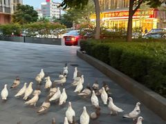 -顺联广场(陈村店)