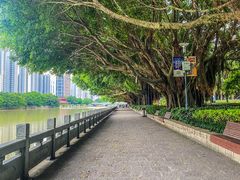 -光明港公园