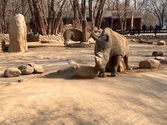 -北京野生动物园