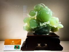 -大连自然博物馆
