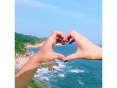 -广东惠东海龟国家级自然保护区