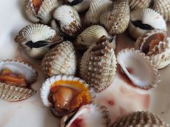 -华盛丰温州大排档(东三环南路店)