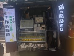 -猫的魔法密林(衣裳街店)
