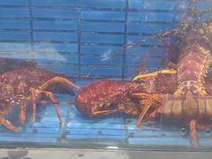 -徐记海鲜·宴会(大唐西市|丰庆店)